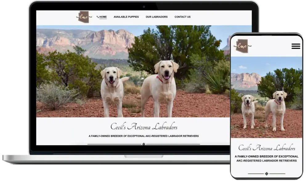 Cecil's Arizona Labradors